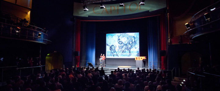 Serendipity in Action: Speaking at TEDxRheinMain
